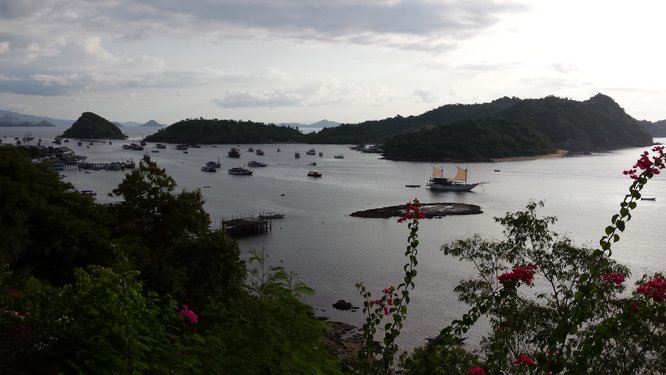 The bay of Labuan Bajo There should be a picture of the bay of Labuan Bajo